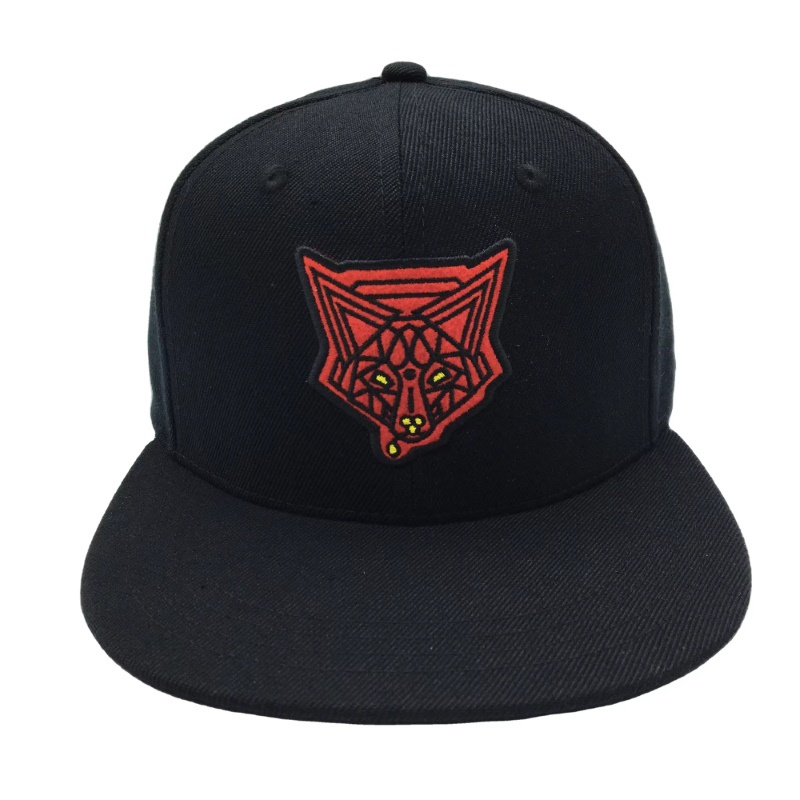 Flat Embroidery Snapback Cap